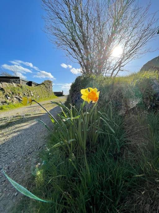 The Hut@Trefechan Wen - Coastal Coziness! Goodwick Zewnętrze zdjęcie
